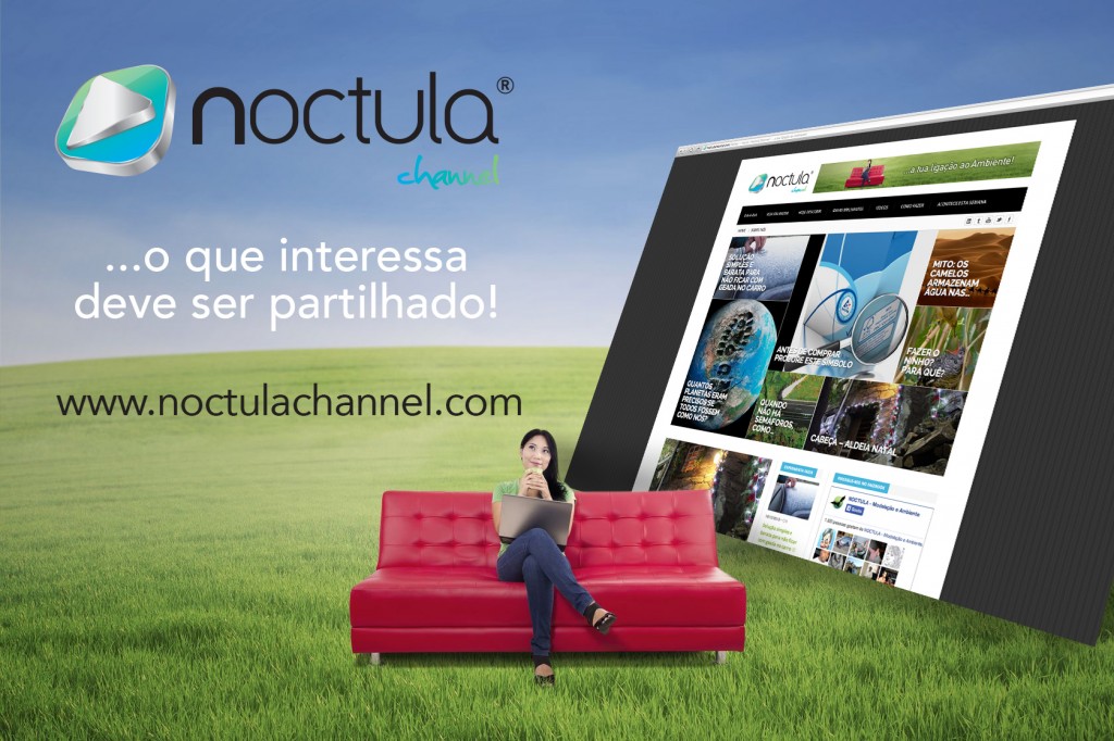 noctula channel