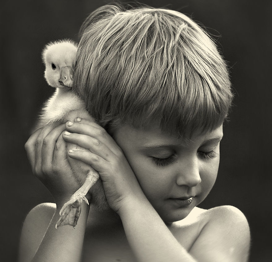 animais crianças quinta fotografia Elena Shumilova pato