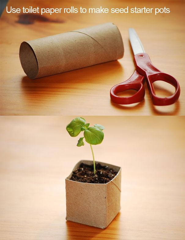 transformar rolos de papel higiénico em vasos para plantas