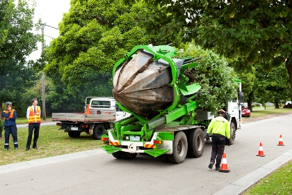 ClydeRoad-transporte-árvore-camião