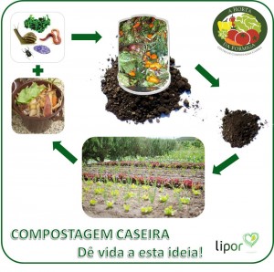 composto adubo ciclo da compostagem