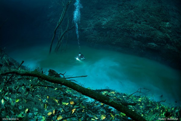 rio-salgado-cenote-angelita-mexico-mergulhador2