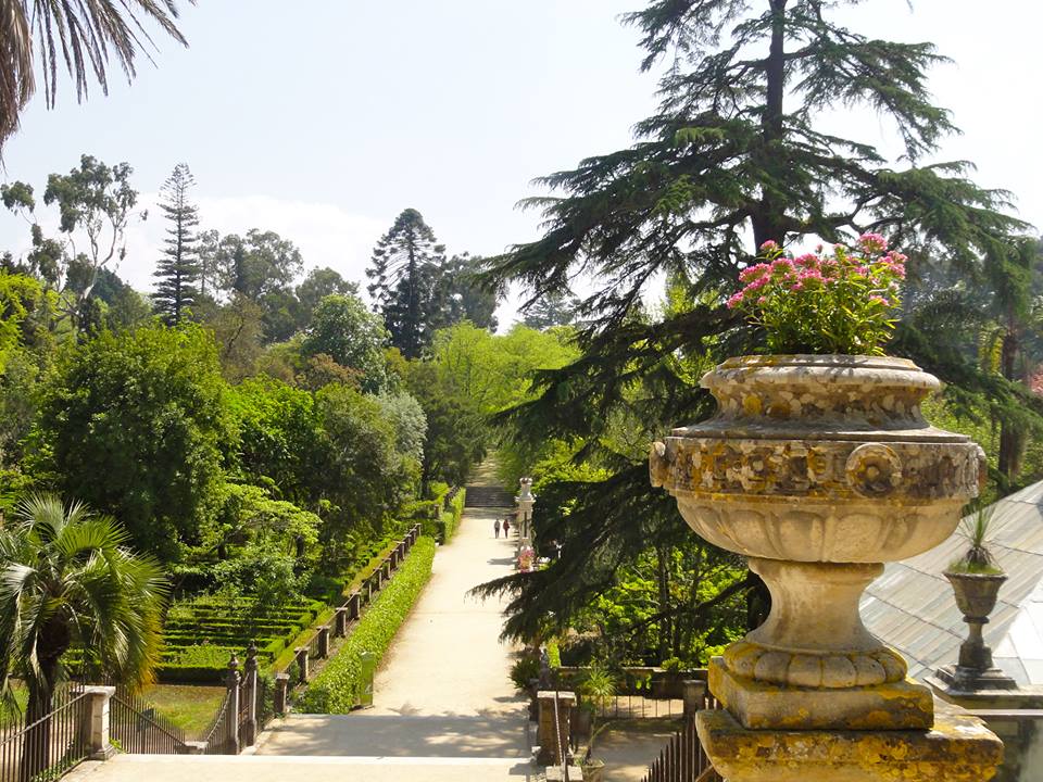 jardim botânico Coimbra