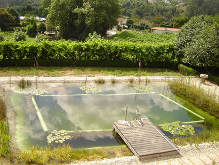 piscina natural ecológica plantas