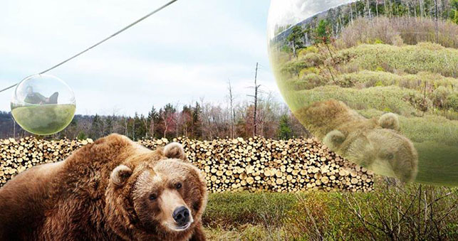 Givskud Zoo urso teleférico