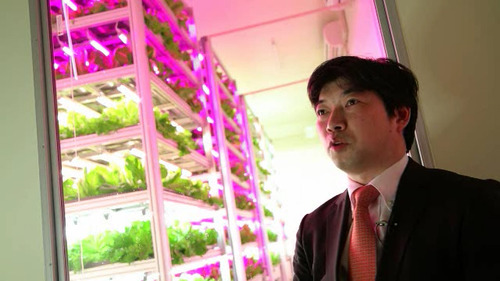 Shigeharu Shimamura agricultura indoor