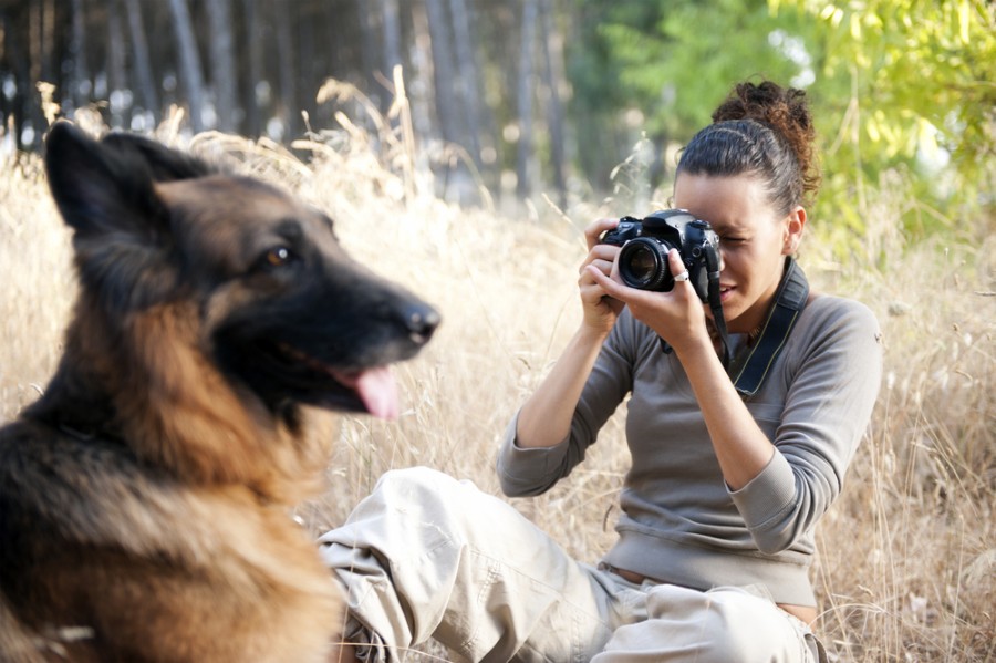 fotografo cão associação de animais dog-photographer