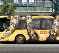 marketing zoologico copenhaga autocarro