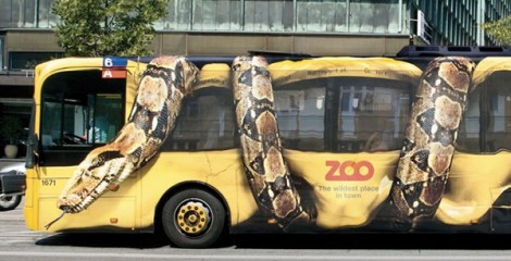 marketing zoologico copenhaga autocarro