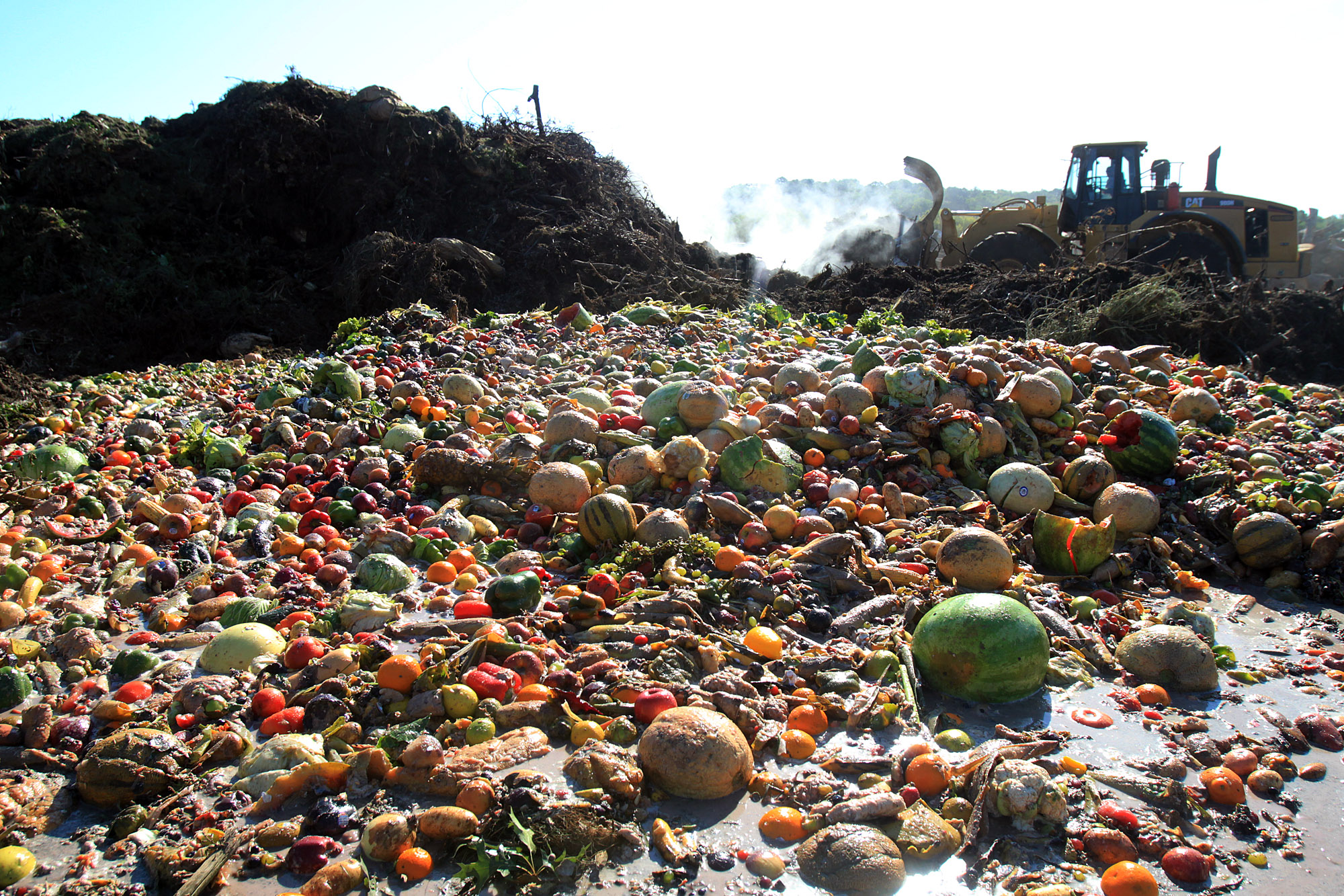 food waste desperdício alimentar comida lixo
