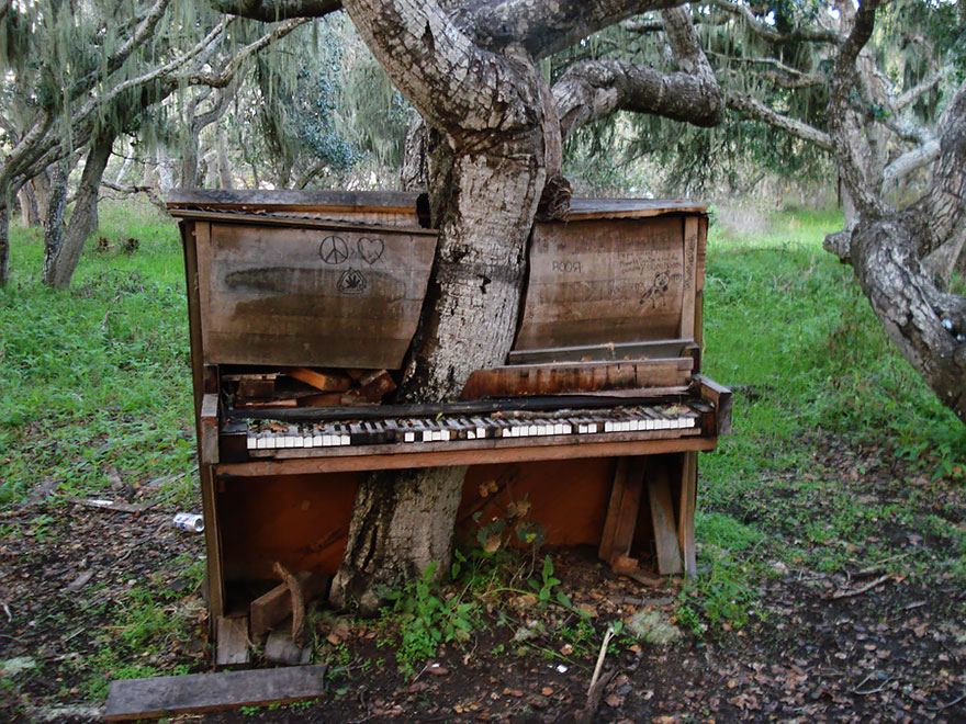 natureza locais abandonados piano california