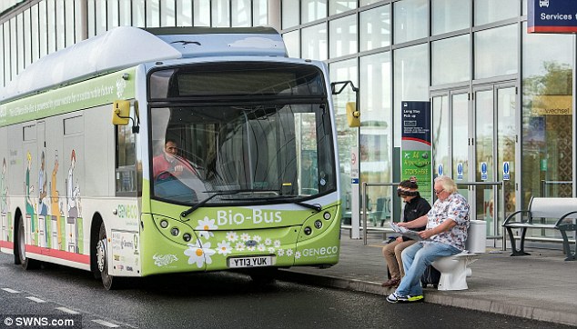 bio bus autocarro ecológico cocó