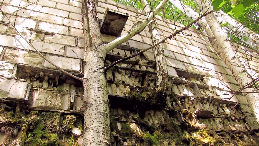 Pripyat, uma cidade fantasma localizada no norte da Ucrânia, servia de casa aos trabalhadores da Central Nuclear de Chernobil, onde ocorreu o maior acidente nuclear da história, em 1986. O fotografo Igor Lishilenko registou o estado da cidade, 30 anos depois do acidente nuclear.