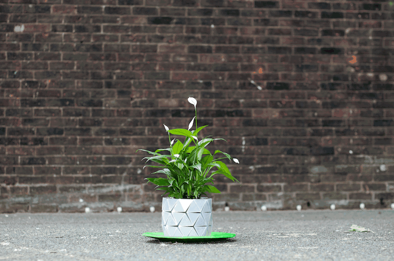 Um vaso que cresce e que acompanha o crescimento das plantas foi concebido no atelier de design londrino Ayaskan, por Bike e Begum Ayaskan.