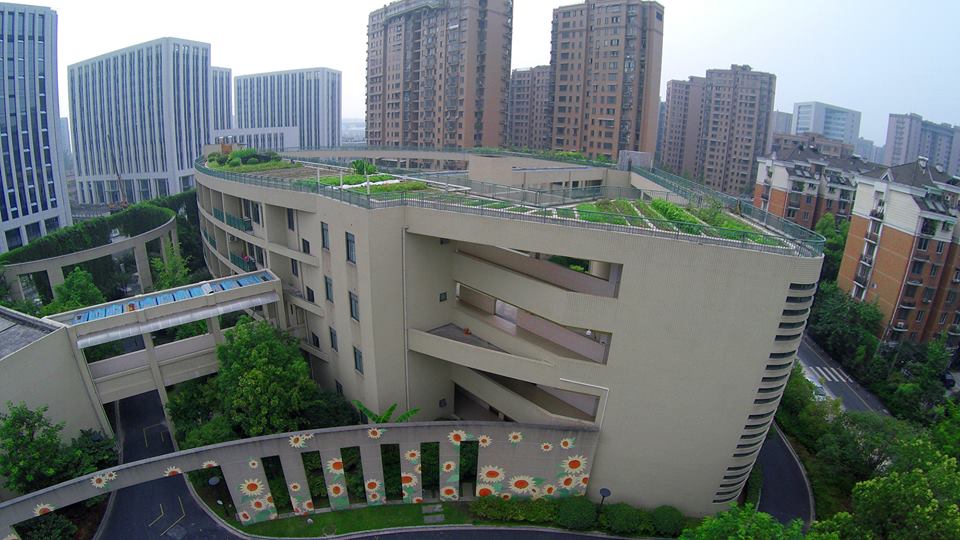 telhado verde horta de telhado china escola