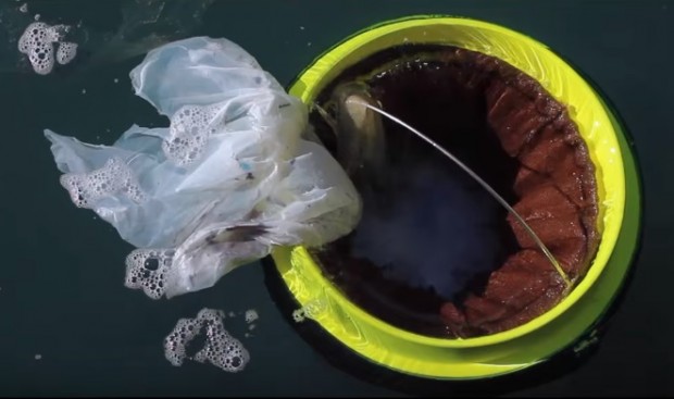 lixo marinas limpeza