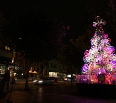 árvore de natal iluminada em sidney