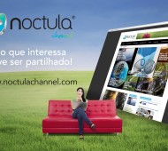 noctula channel