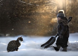 animais crianças quinta fotografia Elena Shumilova gato neve
