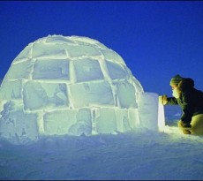 iglus são abrigo feito de neve