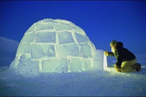 iglus são abrigo feito de neve