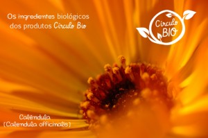 calendula círculo bio cosmética biológica