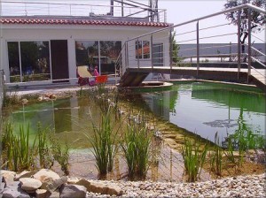 piscina biológica plantas
