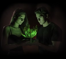 Dan Saunders planta candeeiro bioluminescencia