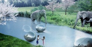 elefantes zoológico rio crianças