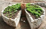 horta circular permacultura mandala