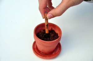 Sprout - lápis que dar origem a uma planta