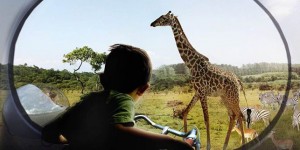 zoológico Givskud holanda safari parque
