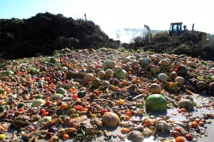 food waste desperdício alimentar comida lixo aterro