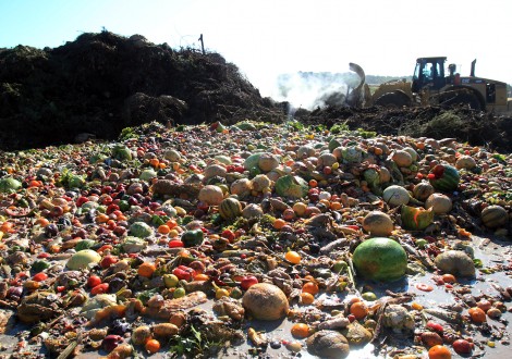 food waste desperdício alimentar comida lixo aterro