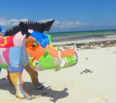 javali de plástico praia ocean-sole-flip-flop-beach-warthog