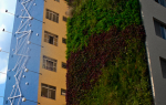 parede verde jardim vertical minhocão sao paulo