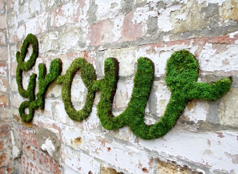 moss graffiti grow verde