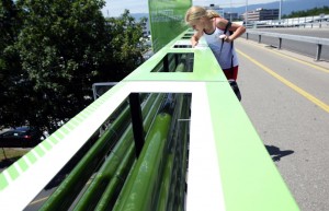 algas autoestrada genebra poluição do ar carro
