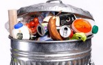 desperdício alimentar lixo comida