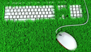 sustentável no trabalho teclado verde