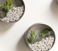 upcycle latas de bolachas vasos plantas