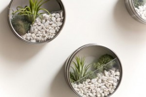 upcycle latas de bolachas vasos plantas