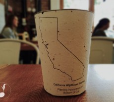A empresa americana do Estado da Califórnia chamada Reduce. Reuse. Grow. criou um copo de café que, para além de ser biodegradável, tem sementes para que possa dar origem a plantas!