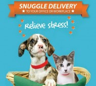 snuggle-delivery-animais nos escritórios cão gato stress
