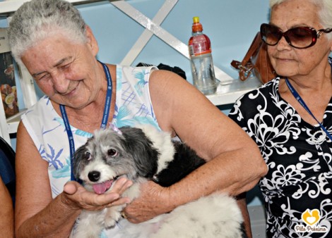 terapia com animais