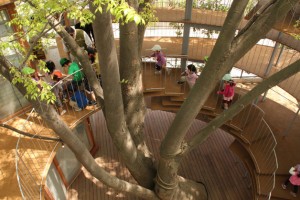 fuji-yochien escolas incríveis árvore