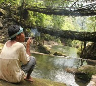 Meghalaya, na Índia, é uma das regiões mais húmidas do mundo, onde ocorrem chuvas torrenciais frequentemente, transformando os rios calmos em fortes torrentes. Por esta razão, os habitantes decidiram que em vez de construir pontes, iriam cultivá-las, criando pontes vivas.