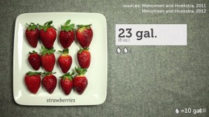 A Organização Não Governamental Grist criou um vídeo que mostra a quantidade de água que é precisa para produzir alguns dos alimentos que vão parar ao nosso prato.