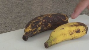 banana conservação