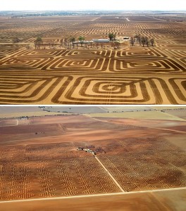controlar erosão do solo